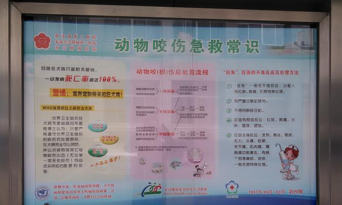 泰迪打狂犬疫苗的费用和注意事项有哪些？