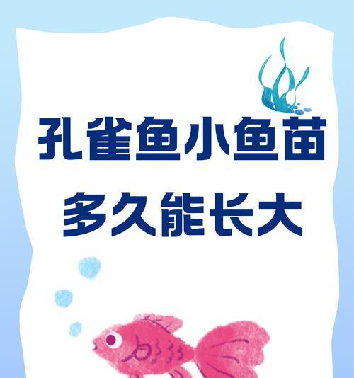 鱼苗为什么需要四尾？四尾鱼苗有什么特殊意义？
