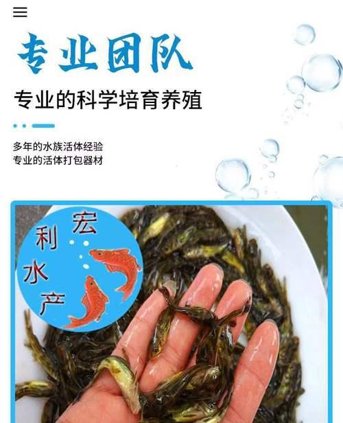 吉林地区哪种鱼苗生长速度快？养殖方法有何不同？