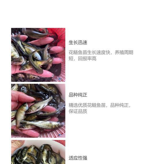 吉林地区哪种鱼苗生长速度快？养殖方法有何不同？