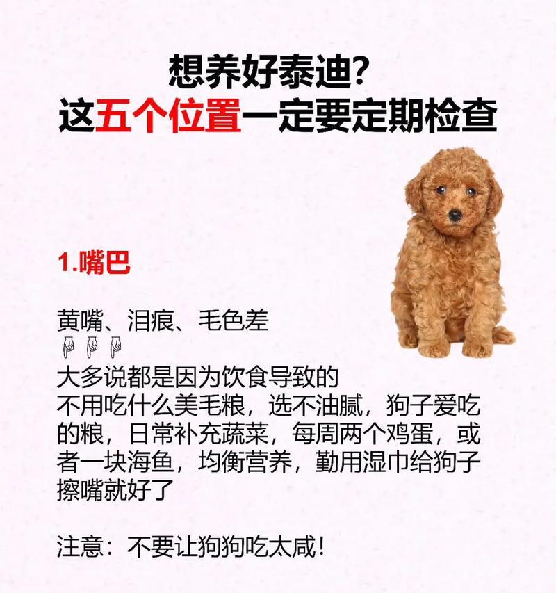 三斤泰迪的体重是否正常？如何判断泰迪的健康体重？