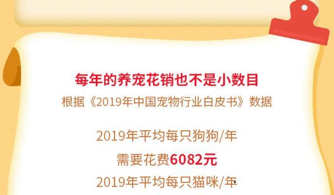 招远养灰泰迪母狗需要多少钱？如何选择合适的宠物犬？