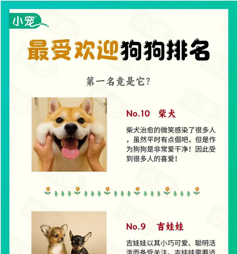 柴犬的平均寿命是多久？