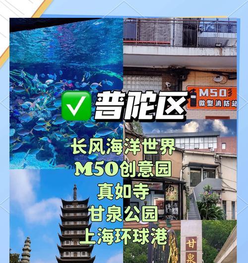 上海有哪些适合大型犬的遛狗胜地？如何选择合适的遛狗地点？
