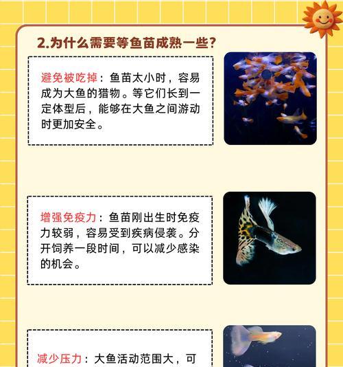 孔雀鱼苗闭不上嘴是什么问题？如何解决？