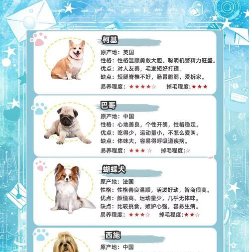 哪些小型犬品种适合家养？它们的特点是什么？