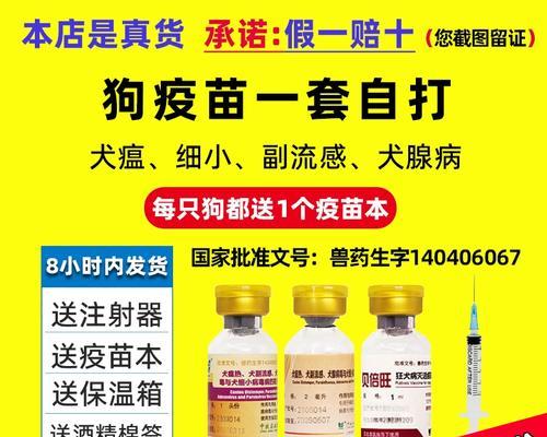 泰迪犬接种疫苗的最佳地点和费用是多少？