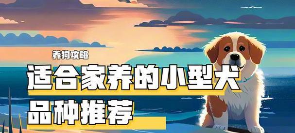 哪些小型犬品种既胖又容易养？选择这些犬种的建议是什么？
