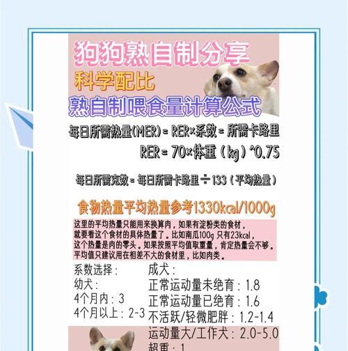 柴犬四个月大，每日喂食量是多少？