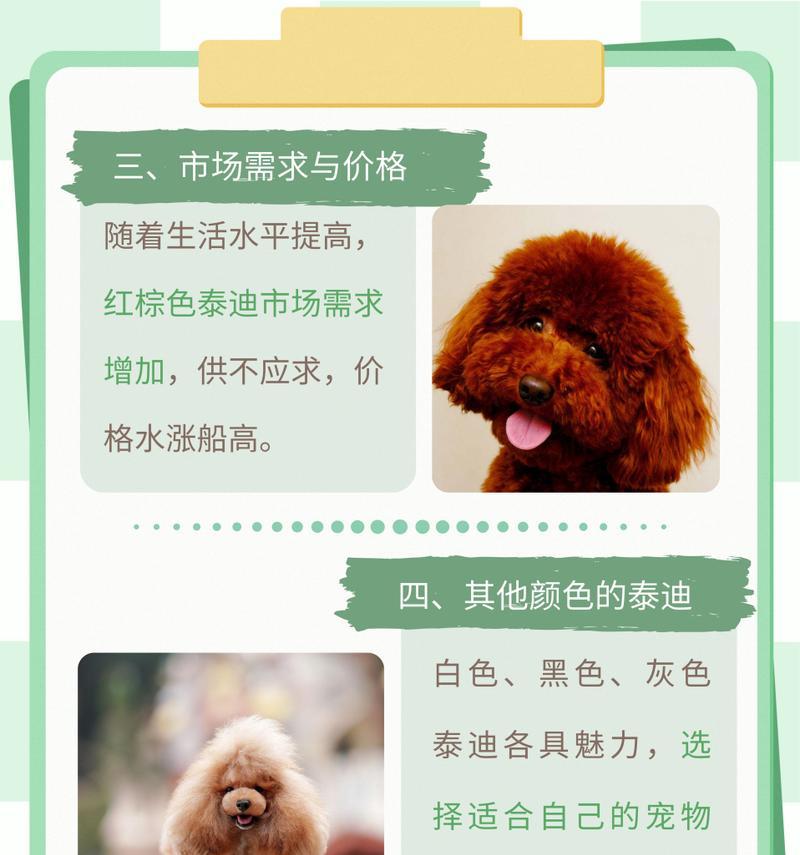 一套泰迪娃娃的价格是多少？