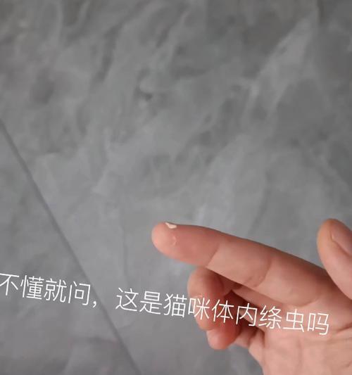 猫屁股出现白色蠕虫是怎么回事？如何处理？