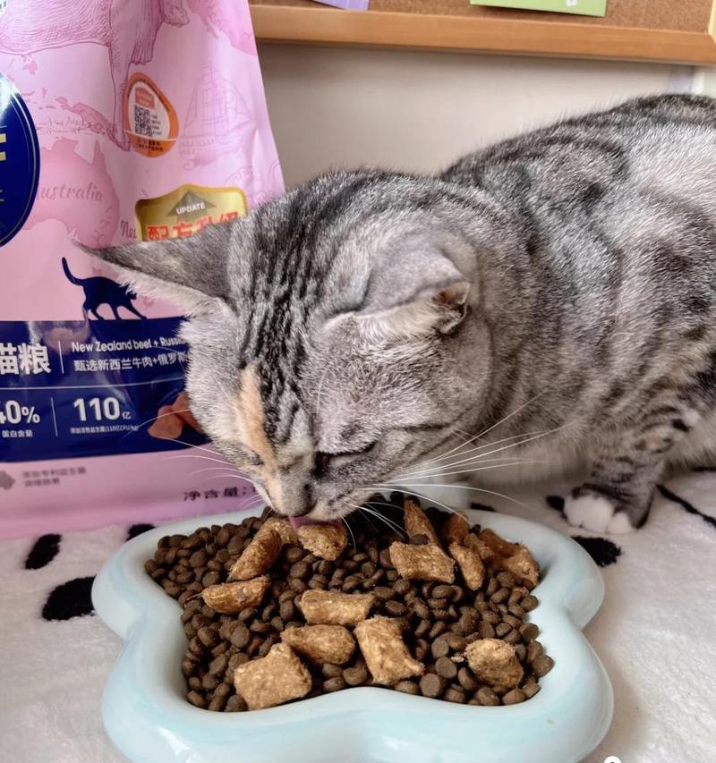 猫屁股出现白色蠕虫是怎么回事？如何处理？