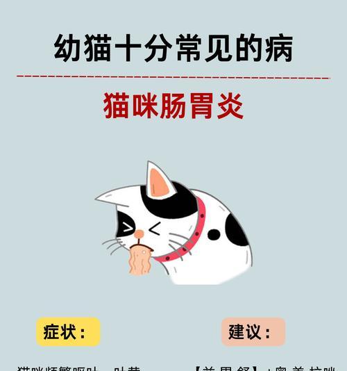 猫胃肠炎会导致干呕吗？有哪些其他症状？