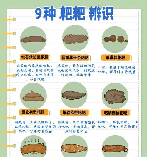 猫的便便有点稀是什么原因？如何处理？