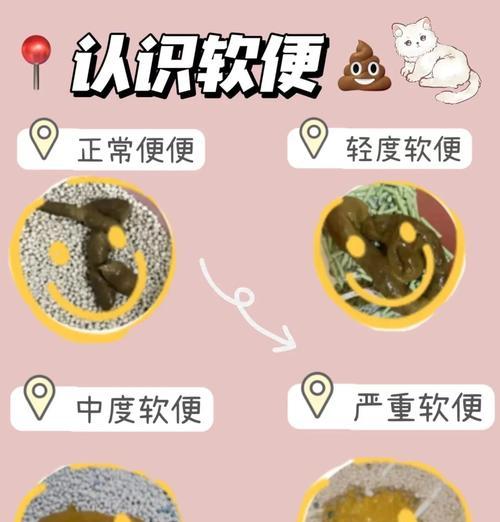 猫的便便有点稀是什么原因？如何处理？