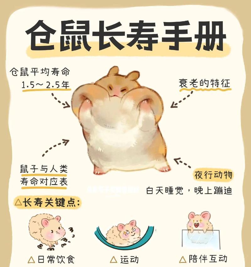 养仓鼠有哪些注意事项？仓鼠饲养的常见禁忌是什么？