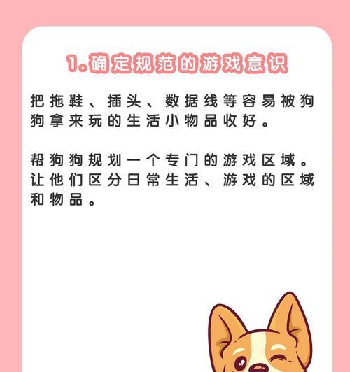 幼犬乱咬东西该如何纠正？
