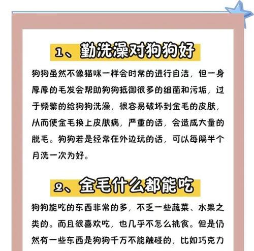 金毛犬怀孕期间需要特别注意哪些事项？