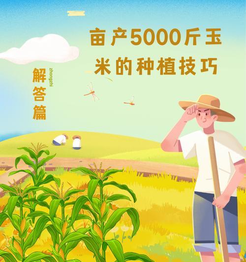 玉米草播种与收割的最佳时机是什么时候？
