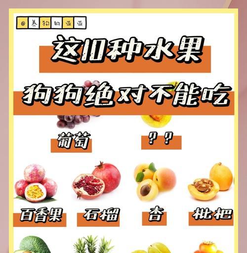 狗狗可以吃哪些水果？有哪些注意事项？