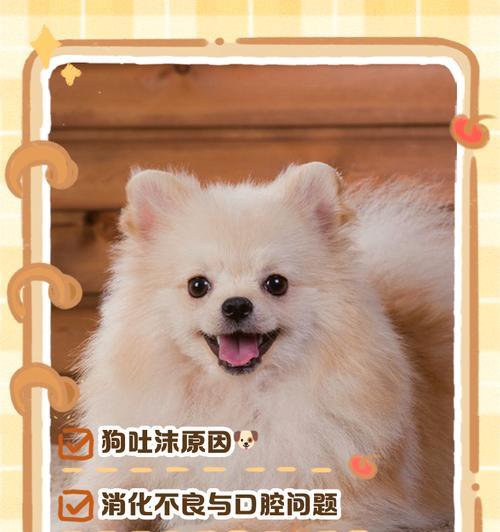 狗狗张嘴吐白沫是为什么呢？可能是哪些原因？