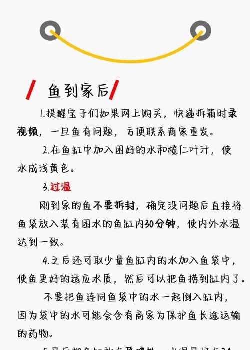 斗鱼怎么养才能活得长久？有哪些注意事项？