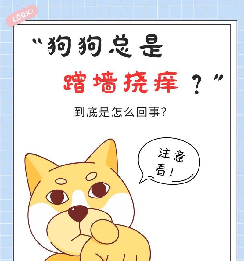 狗狗哪个部位最痒？如何正确挠痒？