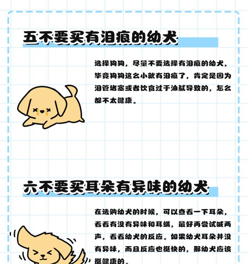 如何识别和避免购买到星期狗？