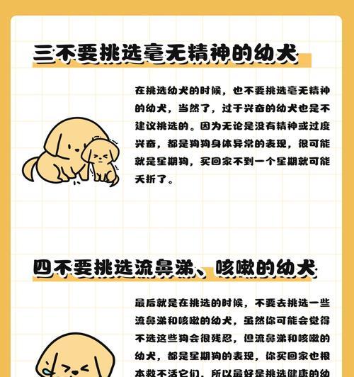 如何识别和避免购买到星期狗？