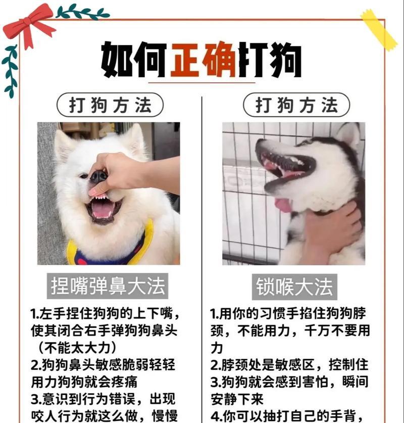 猎犬训练中如何保持狗狗的兴趣和动力？