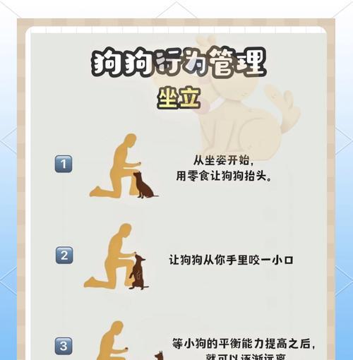 猎犬训练中如何保持狗狗的兴趣和动力？