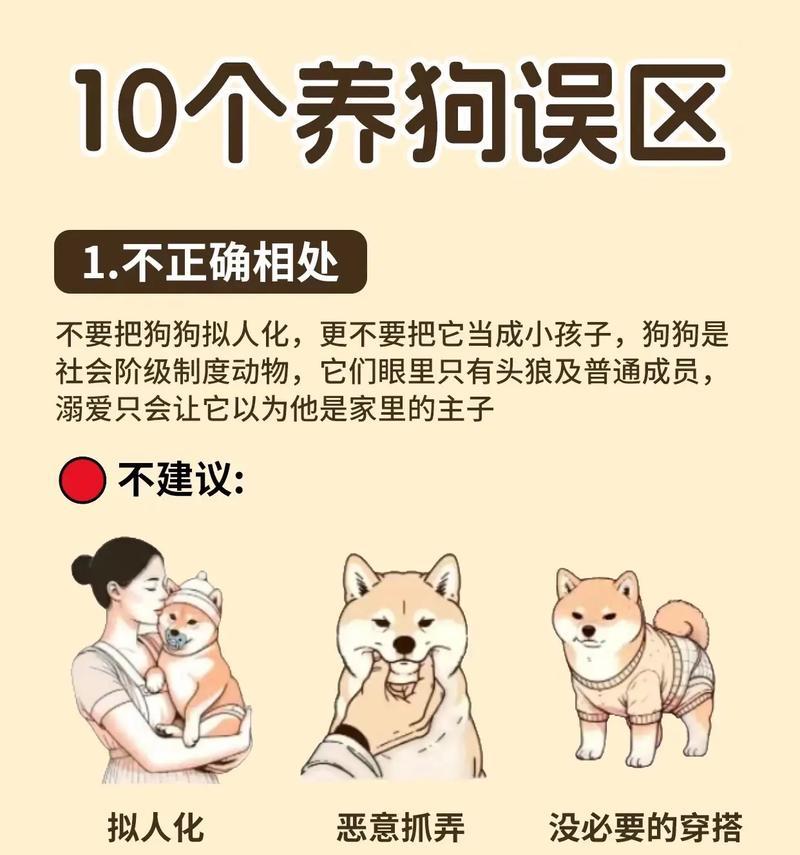 狗狗寄养可能会有哪些影响？如何减轻狗狗的焦虑？