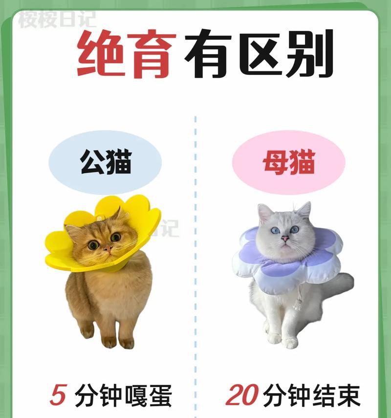 绝育后的母猫公猫还会感兴趣吗？绝育对猫行为有何影响？