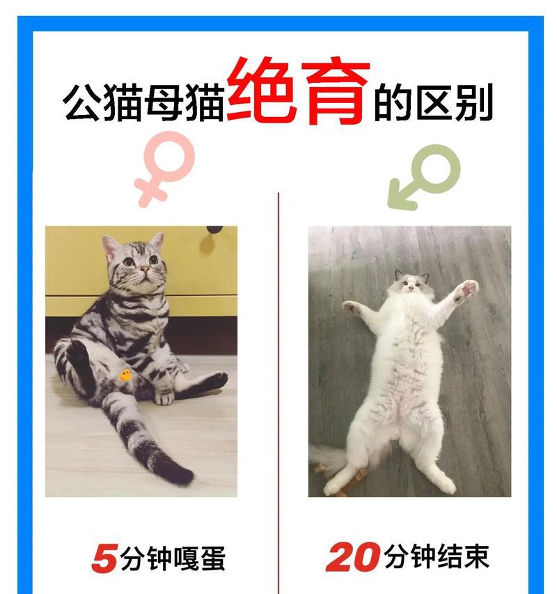 绝育后的母猫公猫还会感兴趣吗？绝育对猫行为有何影响？