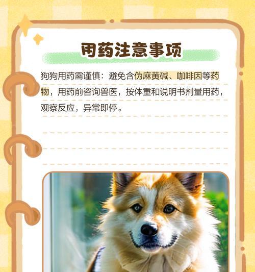 狗出现黄鼻涕是什么病征？如何正确处理？