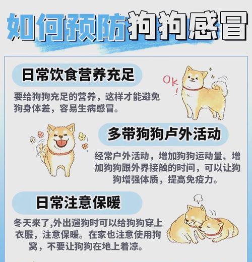 狗出现黄鼻涕是什么病征？如何正确处理？