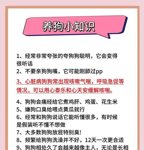 狗狗为何撕扯狗窝？如何有效防止？