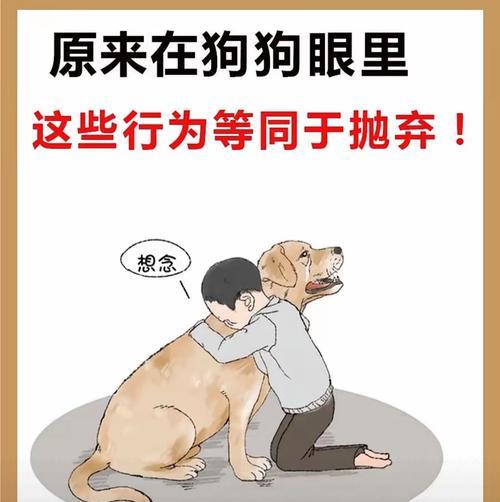狗狗为何撕扯狗窝？如何有效防止？