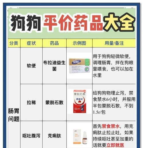 狗狗便秘怎么办？哪些药物可以有效治疗？