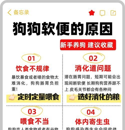 狗狗便秘怎么办？哪些药物可以有效治疗？