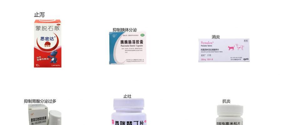 狗狗便秘怎么办？哪些药物可以有效治疗？