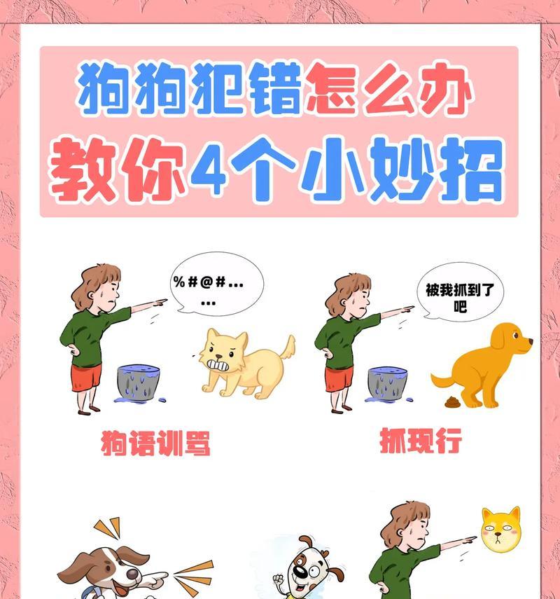 猎犬训练的正确步骤有哪些？如何避免常见错误？