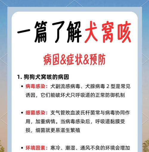 小狗咳嗽拉稀不吃东西应如何应对？