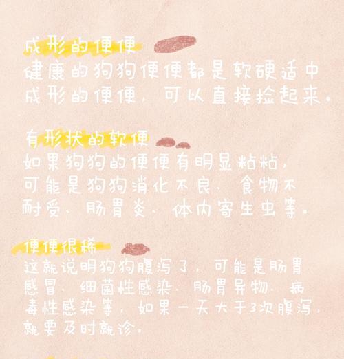 狗狗大便异常可能预示什么问题？如何及时发现并处理？