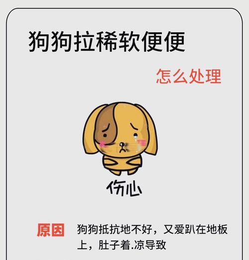 狗狗大便异常可能预示什么问题？如何及时发现并处理？
