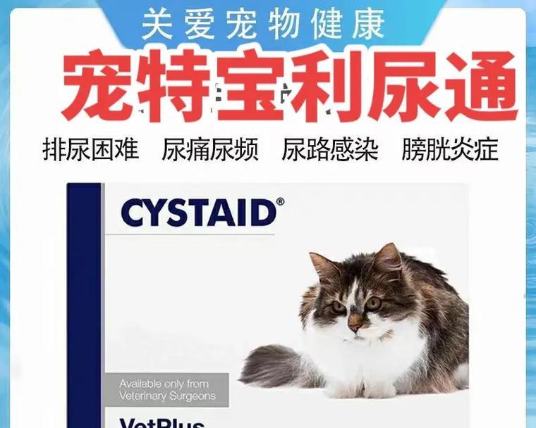 猫咪尿血尿频吃什么药最好？需要立即就医吗？
