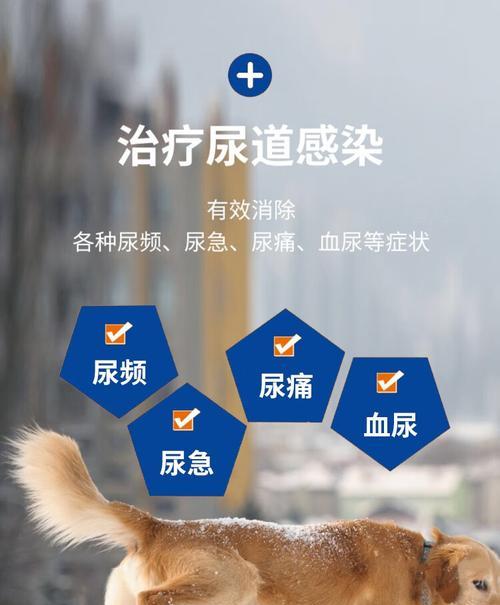 猫咪尿血尿频吃什么药最好？需要立即就医吗？
