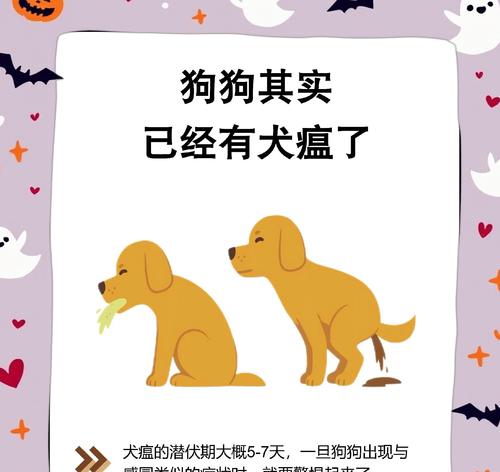 犬瘟期间狗狗不吃狗粮怎么办？有哪些方法可以尝试？