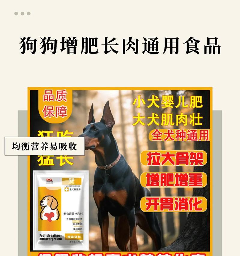 犬瘟期间狗狗不吃狗粮怎么办？有哪些方法可以尝试？