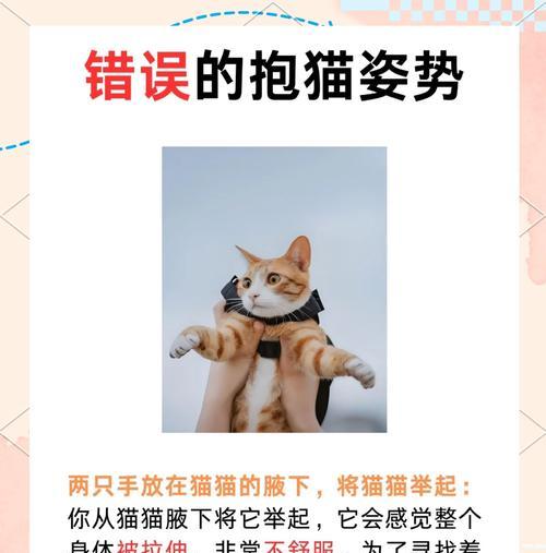 50天小猫能独立生活吗？如何正确抱养小猫？